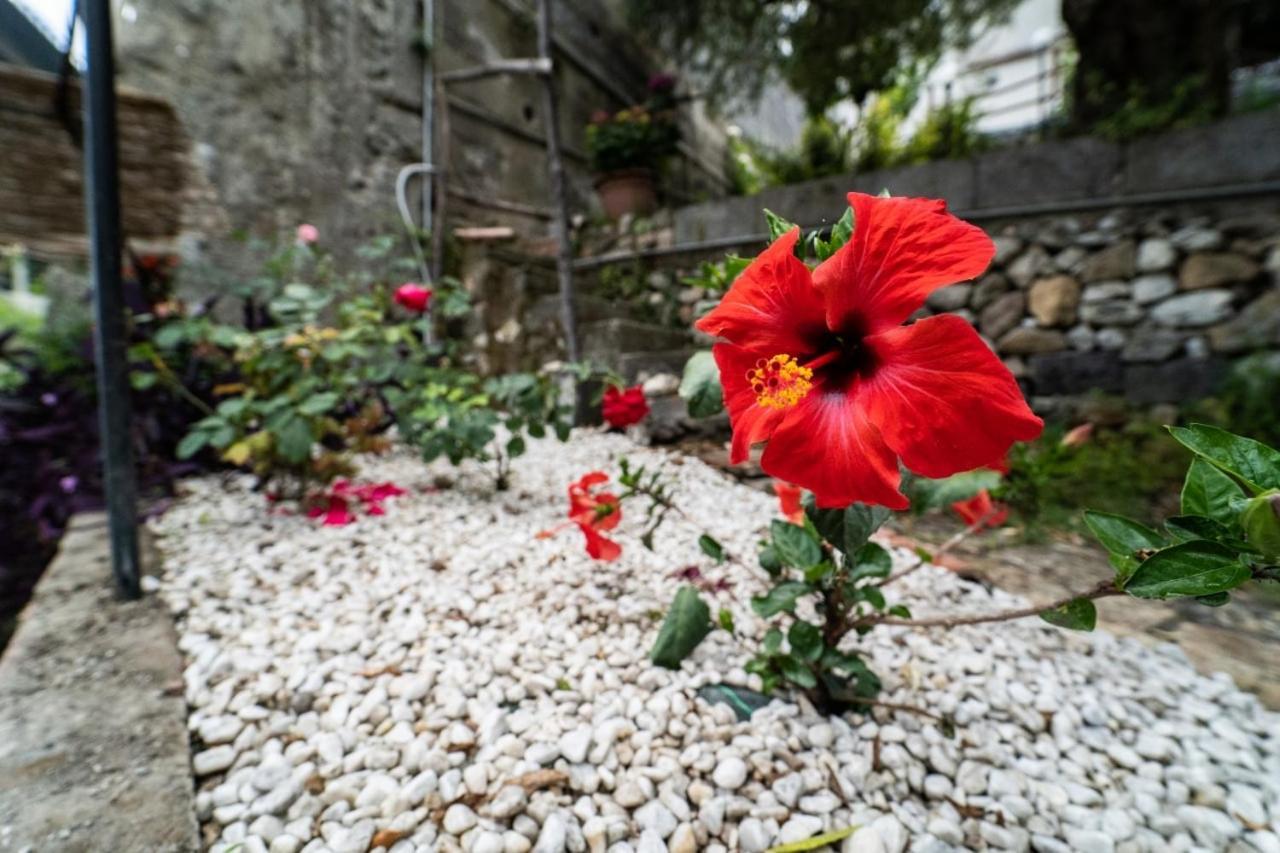 Villetta La Pietra Taormina Bagian luar foto